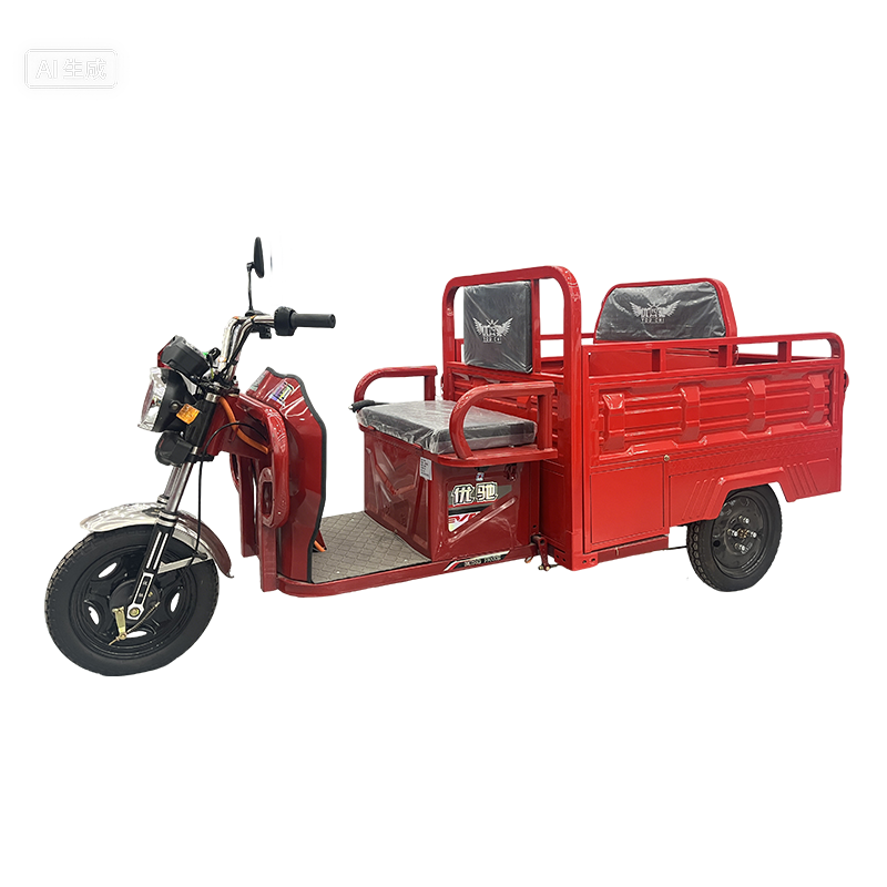 Dual-purpose passenger and cargo electric tricycle